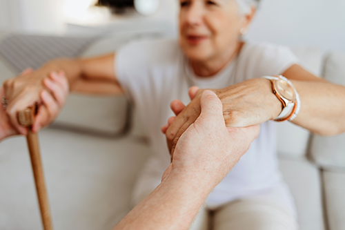 Questions that Help Define the Need for Professional Assisted Living - Dawsonville, GA