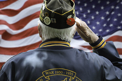 Preparing Your Senior Loved One for Memorial Day - Dawsonville, GA